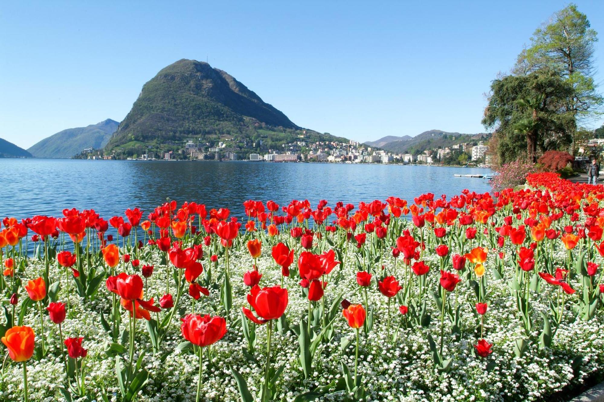 Ferienhaus In Lugano - Happy Rentals Exterior photo